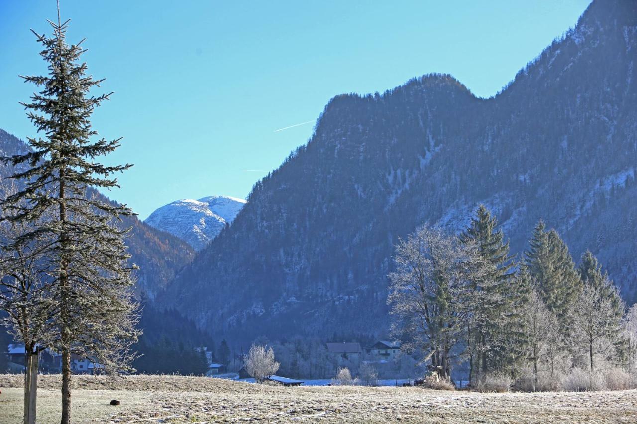 Ferienwohnungen Hager Gosau Exterior photo